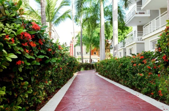 Sol Caribe Beach Club Resort Apartment Jardin